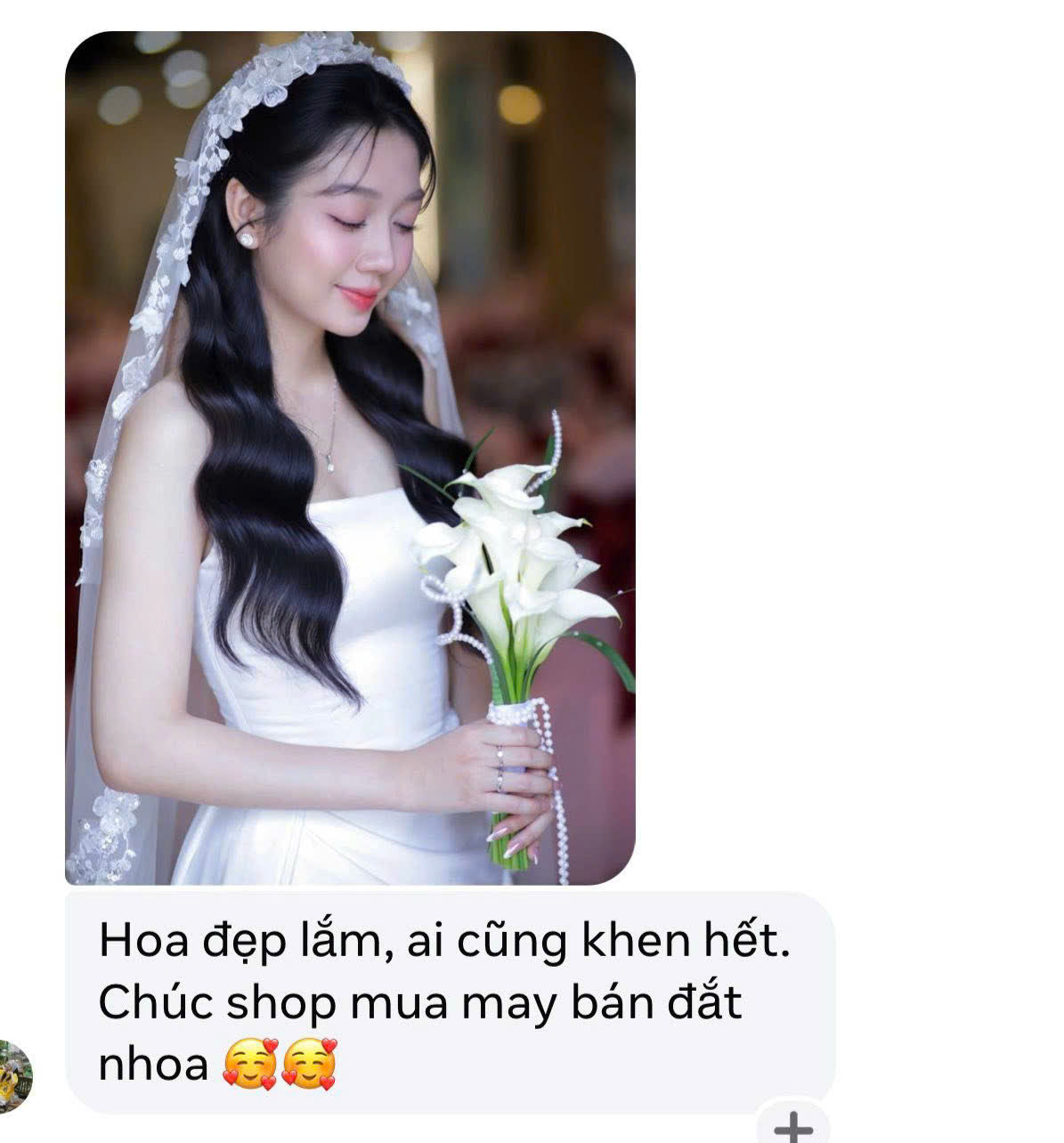 Feedback hoa nhà Shin
