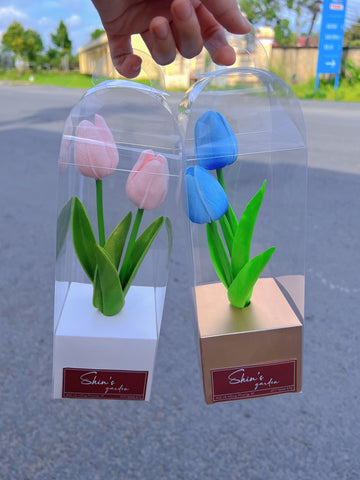 Hộp Hoa Tulip Sáp