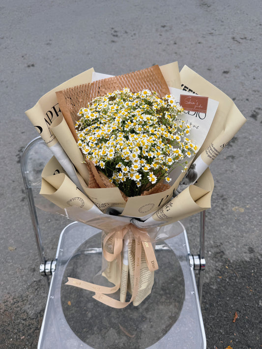 Bó Hoa Cúc Tana - Hoa Tươi Sóc Trăng